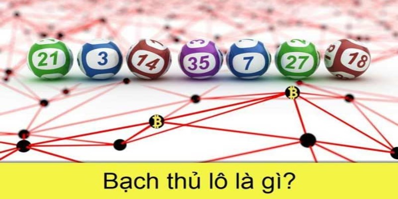 Tìm hiểu Bạch Thủ Lô là gì? 