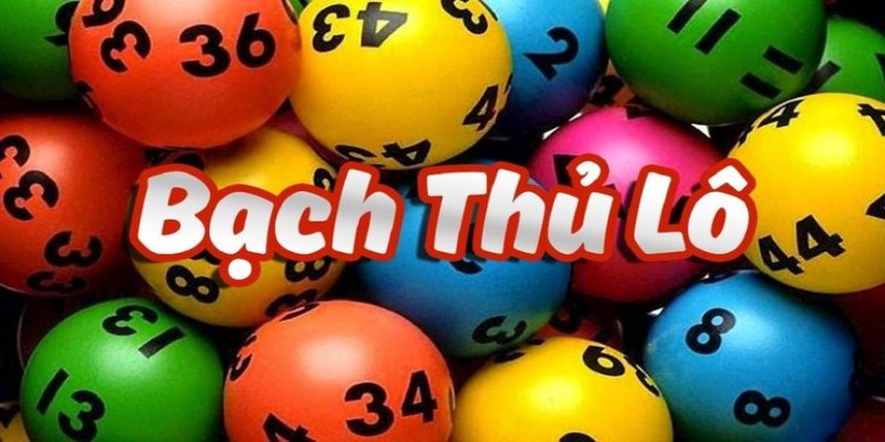 Bạch thủ lô 23win