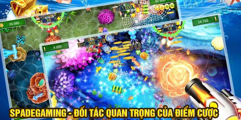 Spadegaming - Đối tác quan trọng của điểm cược