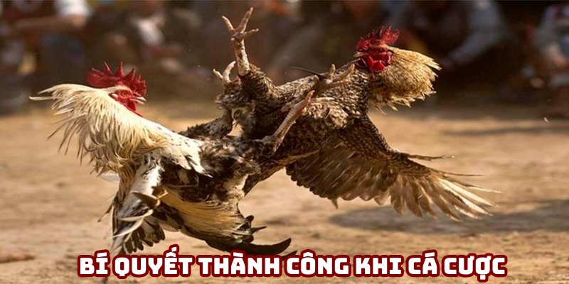 Những bí quyết để đạt được thành công