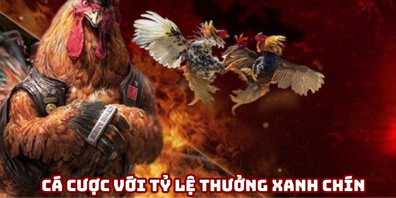 Sân chơi mang đến tỷ lệ thưởng xanh chín