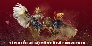 Đá gà Campuchia 23win