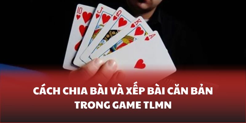 Nắm vững cách chia bài cơ bản trong TLMN