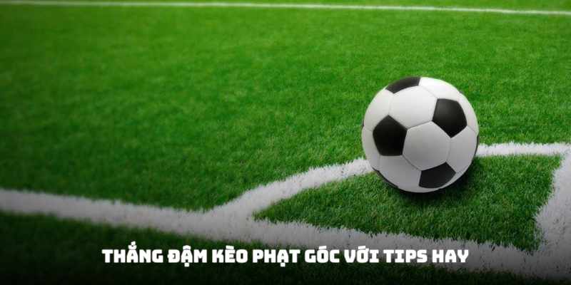 Tuyệt chiêu hay ho được chia sẻ từ dân chuyên