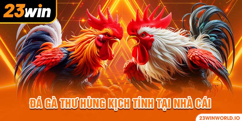 Đá gà thư hùng kịch tính tại nhà cái